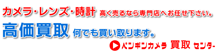 ペンギンカメラ公式サイト